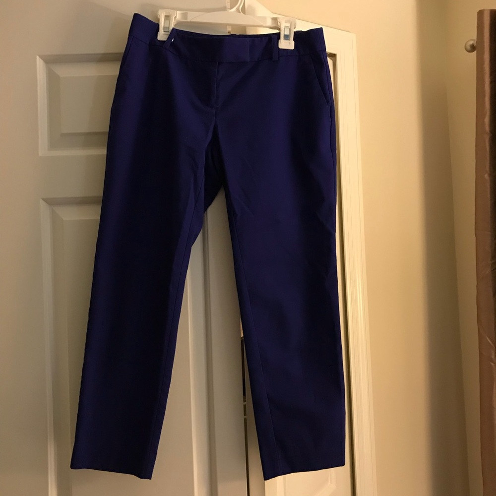 Blue Loft Capri pants